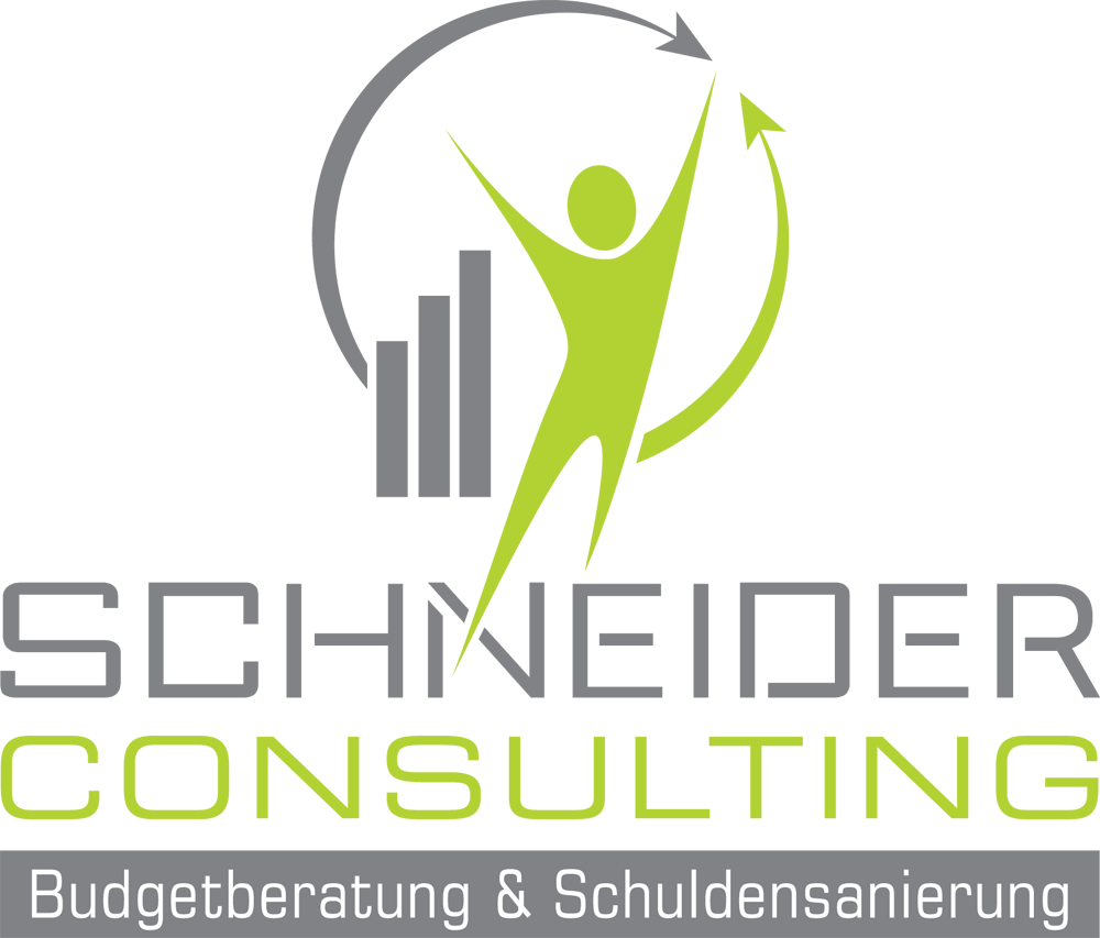 Schneider Consulting